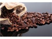 Káva – antioxidant i potěšení