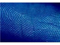 Biometrické údaje – hra s identitou