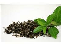 Rafinované dezerty ze zeleného čaje